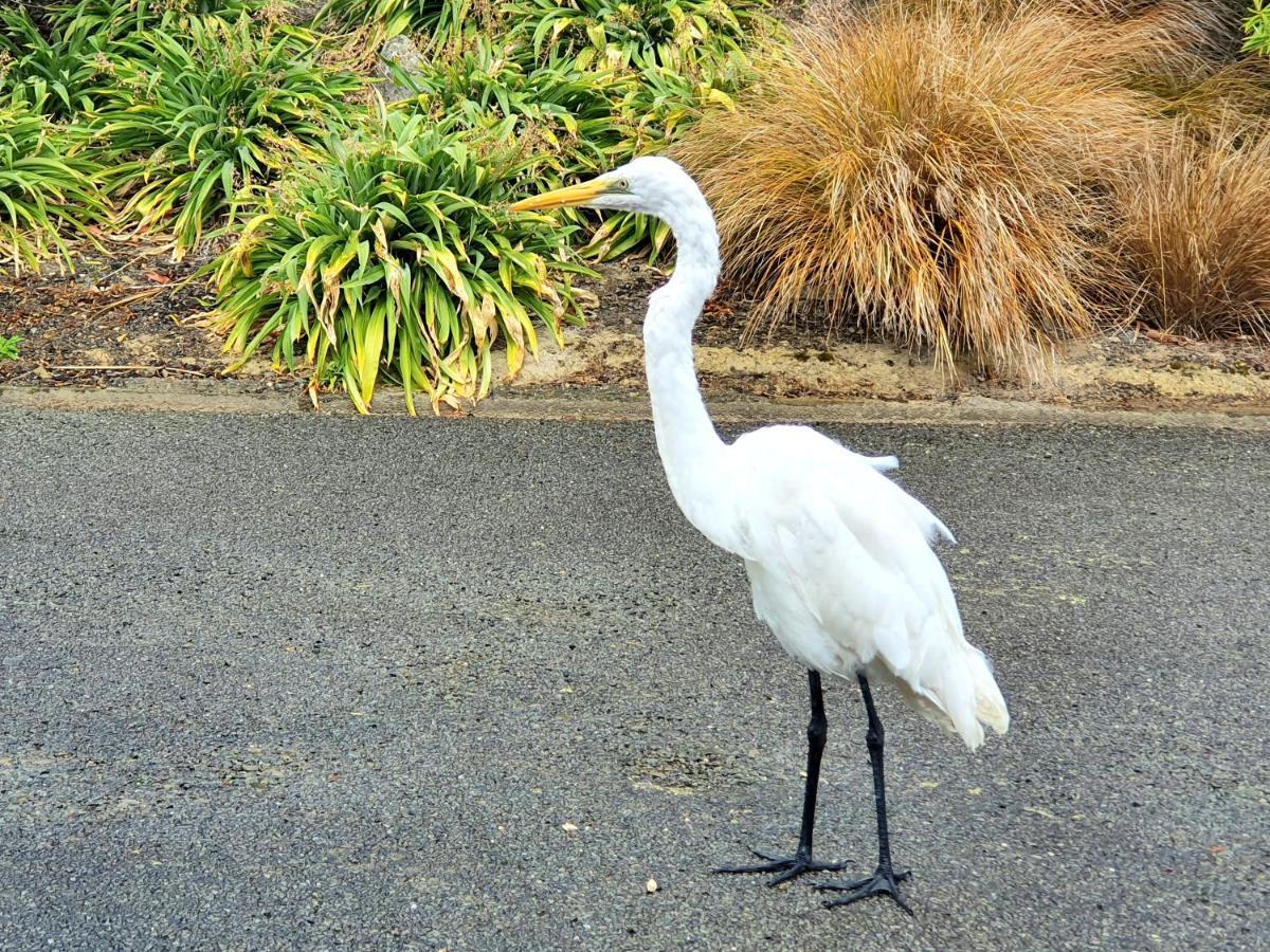 Bay Vista Waterfront Motel Picton Luaran gambar